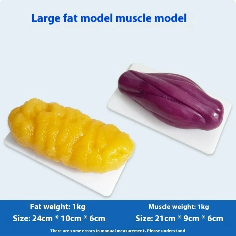 Réplicas de Músculos e Gordura - Nutrition Of Fitness avaliação e preço